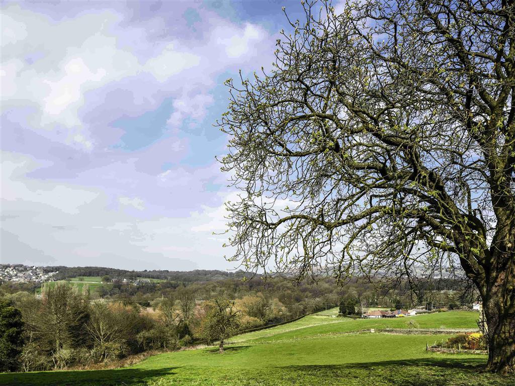 בראדפורד Mercure Bradford, Bankfield Hotel מראה חיצוני תמונה